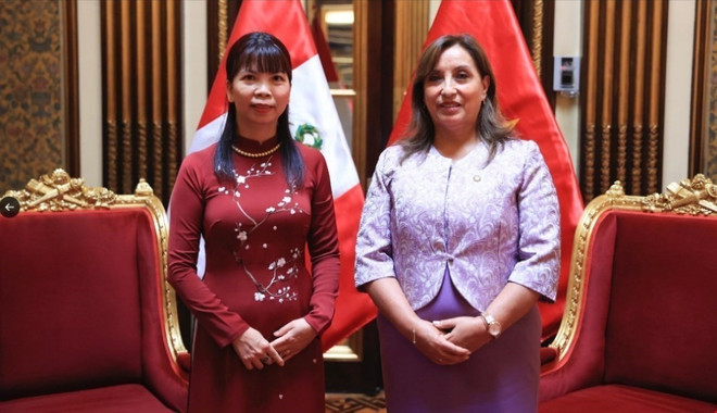 Đại sứ Phạm Thị Kim Hoa và Tổng thống nước Cộng hoà Peru Dina Boluarte. (Ảnh: TTXVN phát) Tiếp tục làm sâu sắc hơn nữa quan hệ hữu nghị và hợp tác Việt Nam-Peru ảnh 1