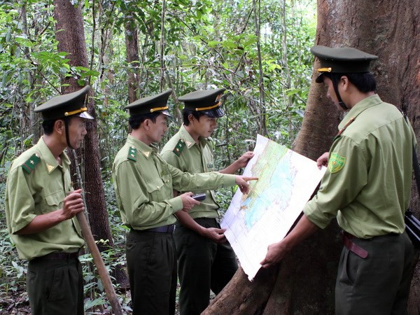 Việt Nam lần đầu được cấp chứng chỉ toàn phần bảo vệ rừng ảnh 1