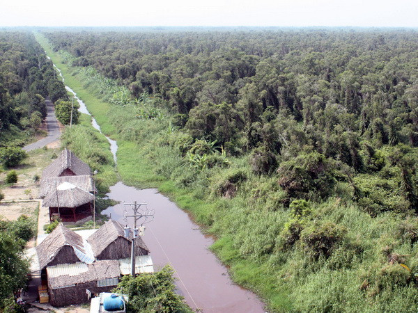 Hạn chế người đi vào các vùng nguy cơ cháy cao ở U Minh Hạ ảnh 1