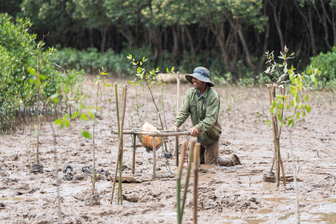 Chống ô nhiễm nhựa: Không hành động, tới 2050 nhựa sẽ nhiều hơn cá ảnh 2
