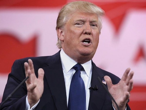 Mỹ: Công dân Anh âm mưu sát hại tỷ phú Donald Trump ảnh 1