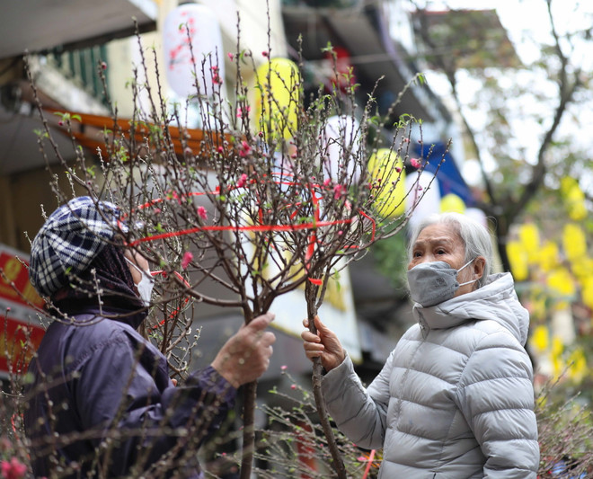 Lãnh đạo Lào gửi điện chúc Tết lãnh đạo Đảng, Nhà nước Việt Nam ảnh 1