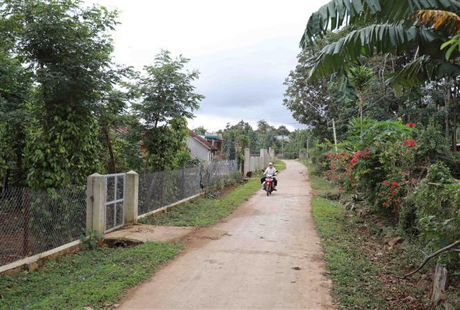 Đường giao thông nông thôn xã Ea Knuếc (huyện Krông Pắk) khang trang sạch đẹp. Xã Ea Knuếc đạt chuẩn nông thôn mới năm 2020. (Ảnh: Vũ Sinh/TTXVN) Phát triển kinh tế khi nông thôn đẹp về diện mạo, mới về chất ảnh 1