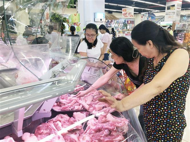 Triệu tập đối tượng nữ đưa tin sai về dịch tả lợn châu Phi ảnh 1