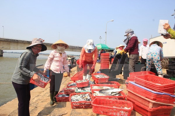 Sự kiện trong nước 22-28/8: Rơi máy bay quân sự, 1 phi công hy sinh ảnh 10