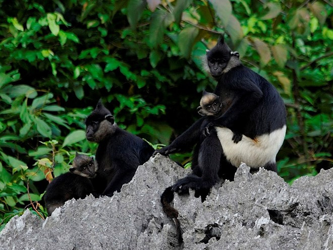 Sự kiện trong nước 22-28/8: Rơi máy bay quân sự, 1 phi công hy sinh ảnh 8