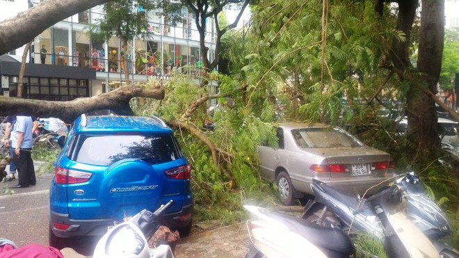 Hà Nội: Cây xanh bất ngờ đổ, đè lên chiếc xế hộp đỗ ven đường ảnh 2