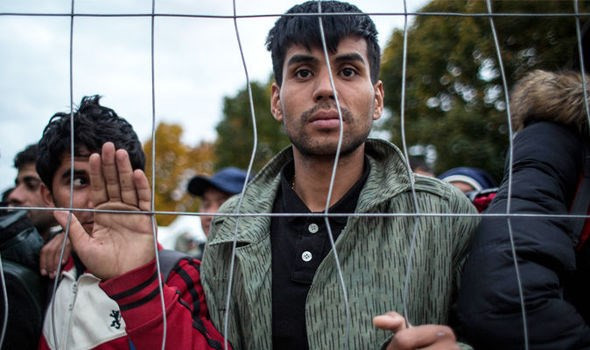 Một thanh niên di cư chưa rõ quốc tịch bị hành hung tại Đức ảnh 1