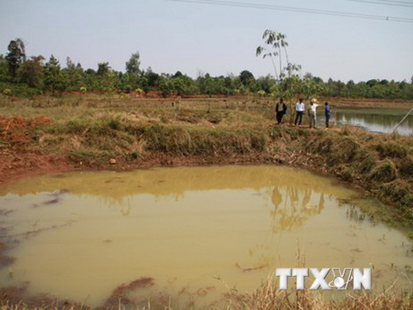Thanh Hóa: Rủ nhau đi chơi, hai học sinh chết đuối thương tâm ảnh 1