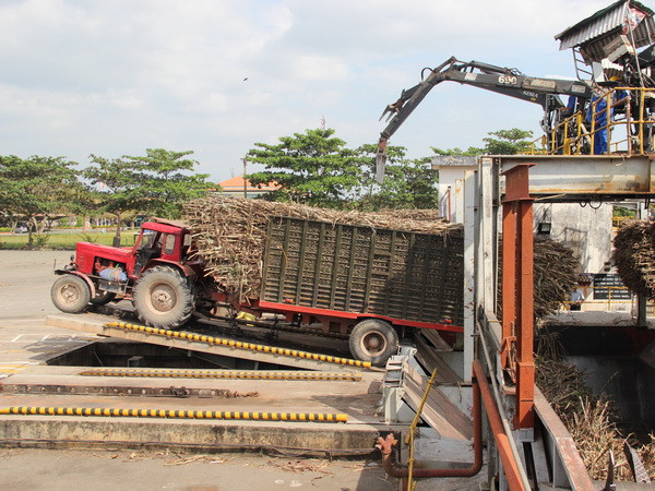 Ứng dụng cơ giới hóa để nâng cao hiệu quả sản xuất mía đường ảnh 1