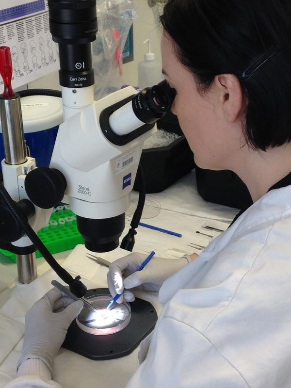 Các nhà khoa học nữ đăng ảnh "quyến rũ" phản đối phân biệt giới tính ảnh 3