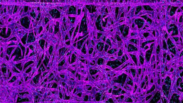 Israel thông báo kế hoạch thí nghiệm với vi khuẩn trong không gian ảnh 1