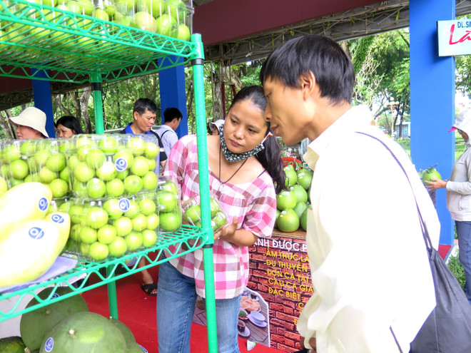 Hà Nội gắn biển nhận diện các cửa hàng kinh doanh trái cây an toàn ảnh 1
