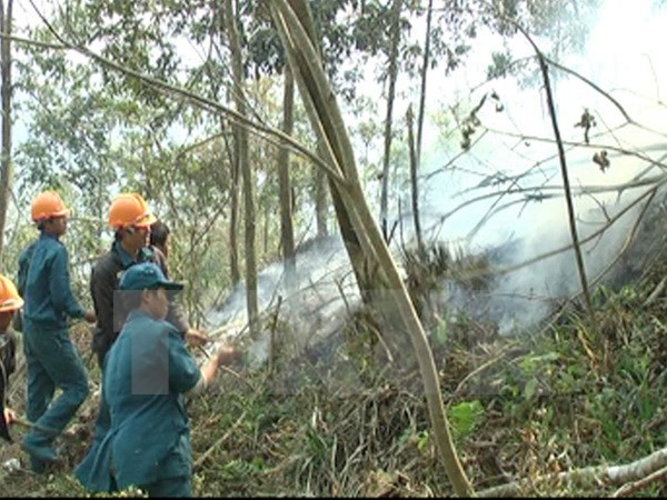 Hơn 19.000ha rừng tràm U Minh Hạ báo động cháy cấp cao nhất ảnh 1