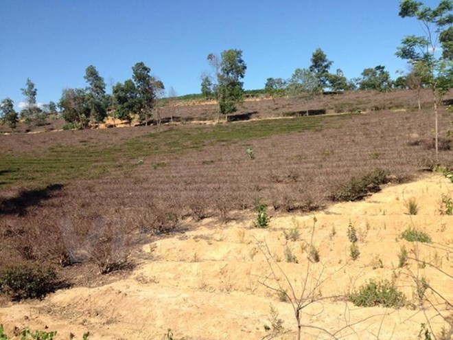 Sự kiện trong nước 11-17/7: Lại nóng vụ chôn lấp chất thải của Formosa ảnh 7