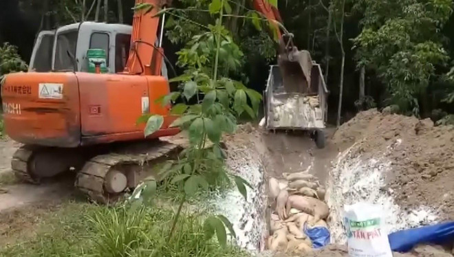 Địa phương đầu tiên của Đồng Nai tái phát dịch tả lợn châu Phi ảnh 1