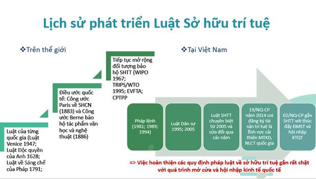Quản lý nhà nước: Công cụ thúc đẩy sở hữu trí tuệ ở địa phương ảnh 2