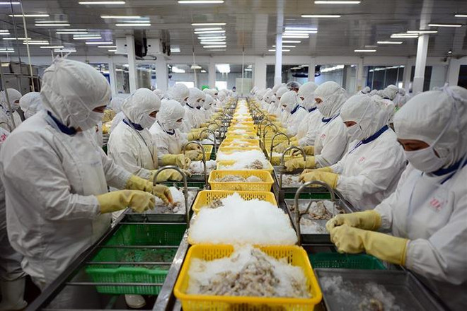 Luật Thống kê hướng tới cung cấp thông tin kịp thời và xác thực ảnh 2