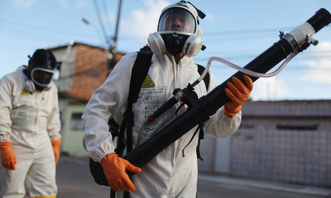 Australia và Nhật Bản ngăn ngừa nguy cơ virus Zika xâm nhập ảnh 1