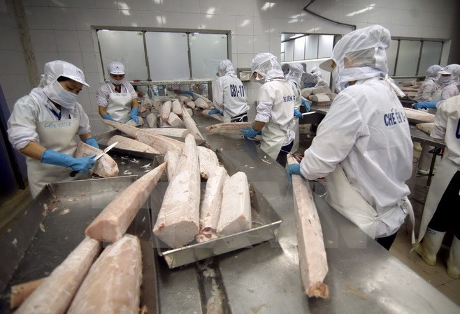 Sự kiện trong nước 28/11-4/12: UNESCO vinh danh Tín ngưỡng thờ Mẫu ảnh 4