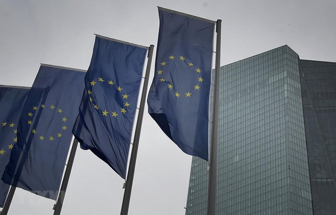 Diễn biến mới liên quan tới phán quyết của Đức về chương trình PSPP ảnh 1