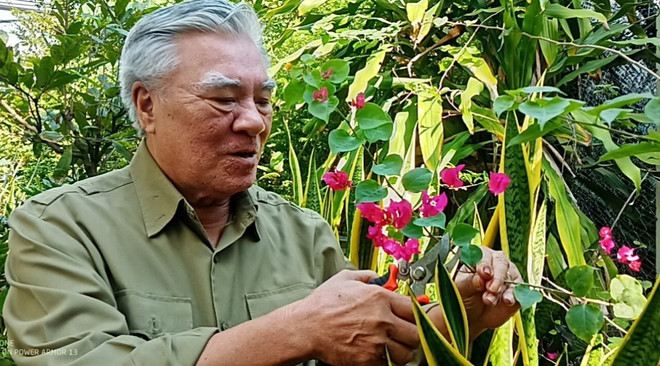 Cựu chiến binh Trần Quốc Việt chăm sóc cây cảnh tại gia đình. (Ảnh: Huỳnh Phúc Hậu/TTXVN) 77 năm thành lập Quân đội: Những ngôi nhà nghĩa tình đồng đội ảnh 1