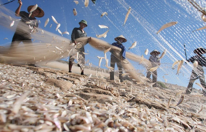 Thu nhập bình quân ở địa phương có biển cao hơn bình quân cả nước ảnh 1