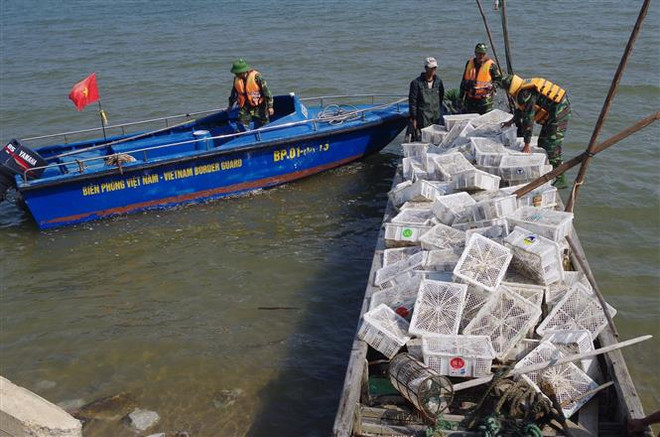 Bắt giữ hơn 2.000 con chim bồ câu Trung Quốc nhập lậu vào Việt Nam ảnh 2