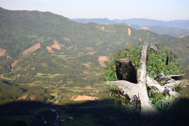 Bộ TN-MT khẳng định đã thể chế hóa đúng, đủ về chính sách đất đai ảnh 1