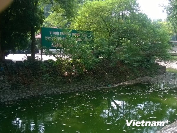 Hà Nội: Cần tổ chức lại bộ máy quản lý các "lá phổi" của thành phố ảnh 3