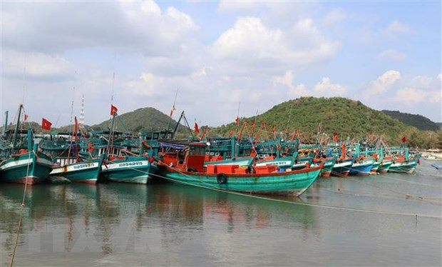 BR-VT: Bắt Giám đốc Trung tâm Đăng kiểm tàu cá và 2 cán bộ cấp dưới ảnh 1