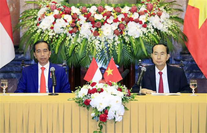 Chủ tịch nước Trần Đại Quang hội đàm với Tổng thống Indonesia ảnh 2