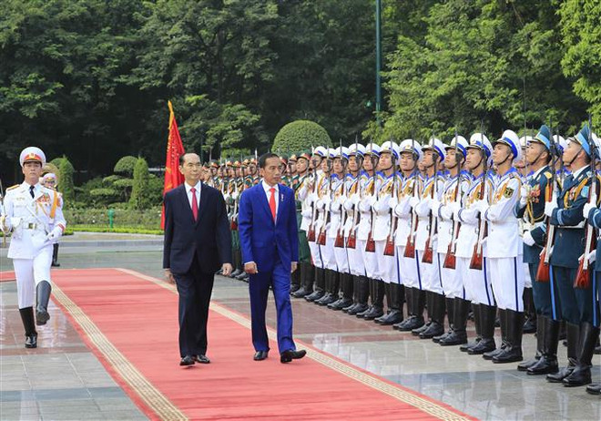 Chủ tịch nước và Phu nhân chủ trì lễ đón Tổng thống Indonesia ảnh 1