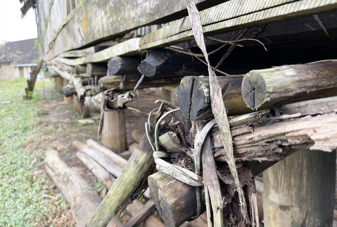 Quảng Ngãi: Khu bảo tồn văn hóa H’rê thôn Làng Teng xuống cấp nặng ảnh 2