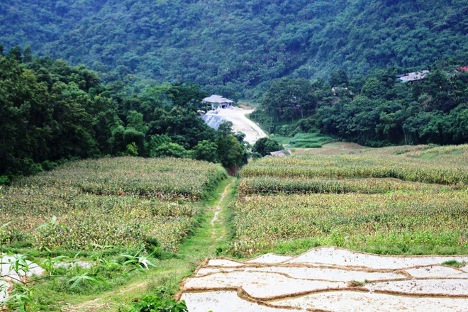 Lộ diện kẽ hở "giúp" doanh nghiệp thủy điện nhỏ “trốn” ĐTM ảnh 2