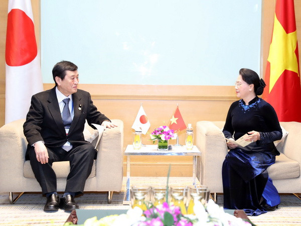 Chủ tịch Quốc hội Nguyễn Thị Kim Ngân tiếp Trưởng đoàn Nghị viện Nhật ảnh 1