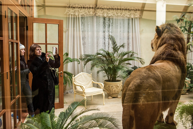 Dinh thự cựu Tổng thống Ukraine Yanukovych thành bảo tàng ảnh 7