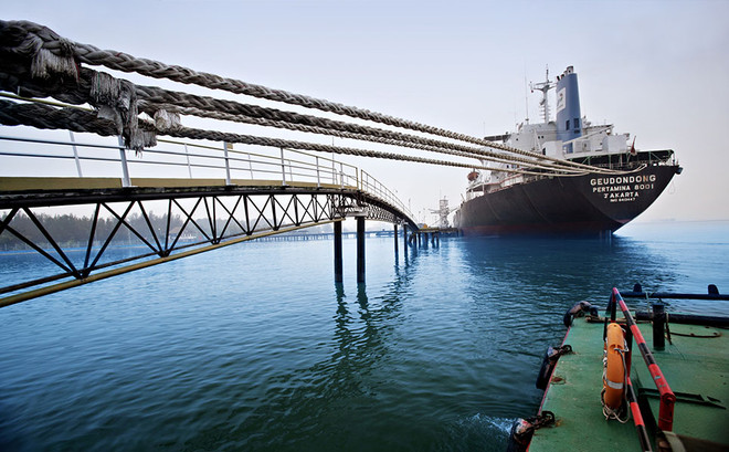 Indonesia: Thêm nhiều cửa khẩu mở đón du khách quốc tế ảnh 1