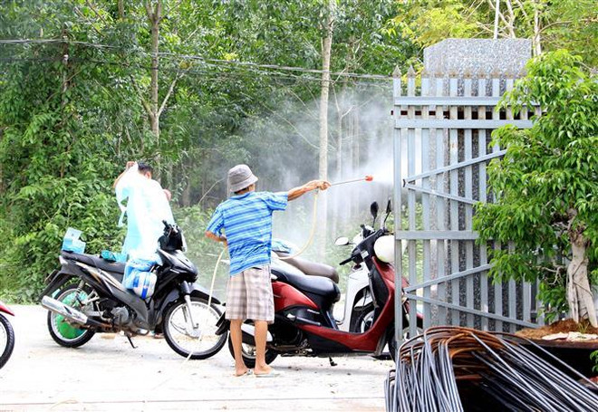 Bình Thuận - địa phương thứ 54 xuất hiện ổ dịch tả lợn châu Phi ảnh 1