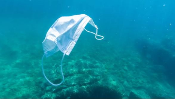 Đại dương chứa hơn 25.000 tấn rác thải từ đại dịch COVID-19 ảnh 1