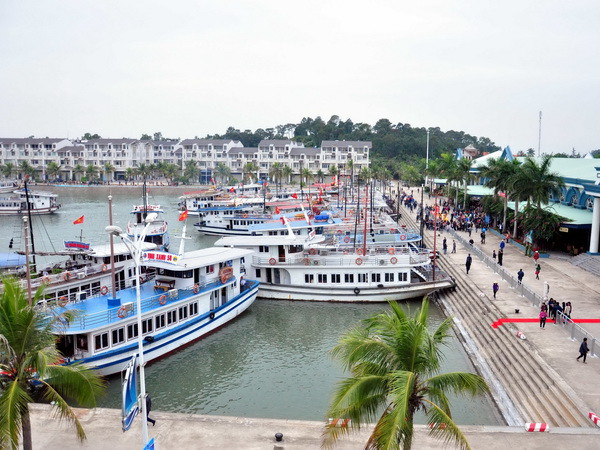 Bảo đảm an toàn cho người và phương tiện tại cảng Tuần Châu ảnh 1