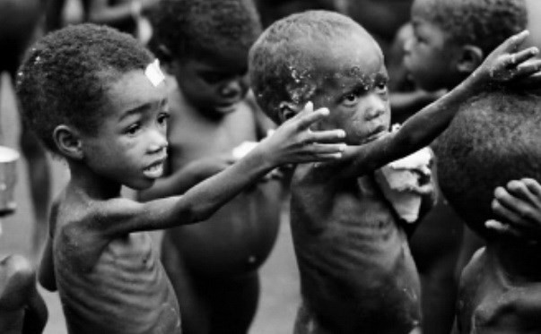 Biến đổi khí hậu gây ra chứng bệnh biến tướng làm chết người ảnh 1