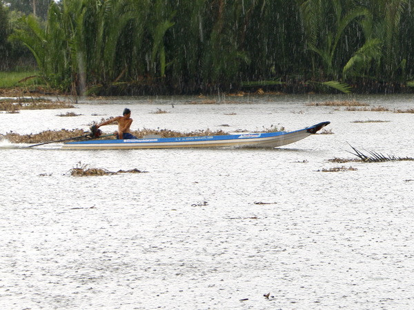 Mưa lớn gần 1 giờ giải nhiệt cho An Giang sau hai tháng nắng hạn ảnh 1