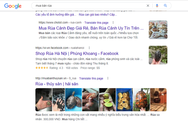 Sôi động ‘chợ rùa trên mạng’ khiến nhiều loài có nguy cơ tuyệt chủng ảnh 1