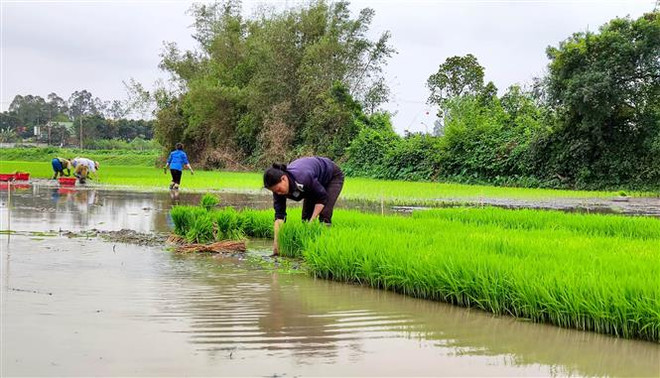 Nghệ An: Bài toán về công việc, tạo sinh kế cho người hồi hương ảnh 1