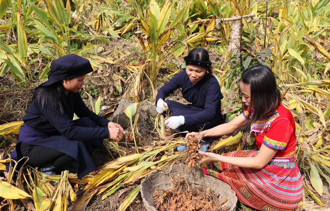 Bài 5: Mục tiêu phát triển bền vững: ‘Đường xa cần có ngựa khoẻ’ ảnh 1