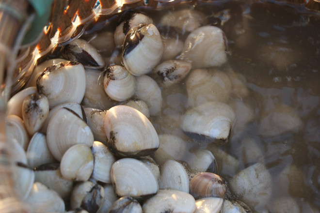 Khát vọng thoát nghèo từ trong sản xuất bền vững ảnh 1