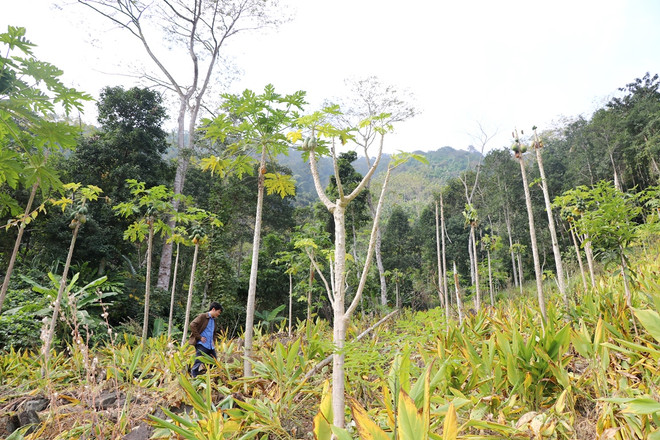 Bài 5: Mục tiêu phát triển bền vững: ‘Đường xa cần có ngựa khoẻ’ ảnh 4