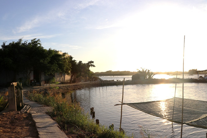 Khát vọng thoát nghèo từ trong sản xuất bền vững ảnh 4