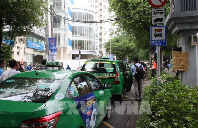 Thành phố Hồ Chí Minh cho phép một số xe taxi hoạt động ảnh 1